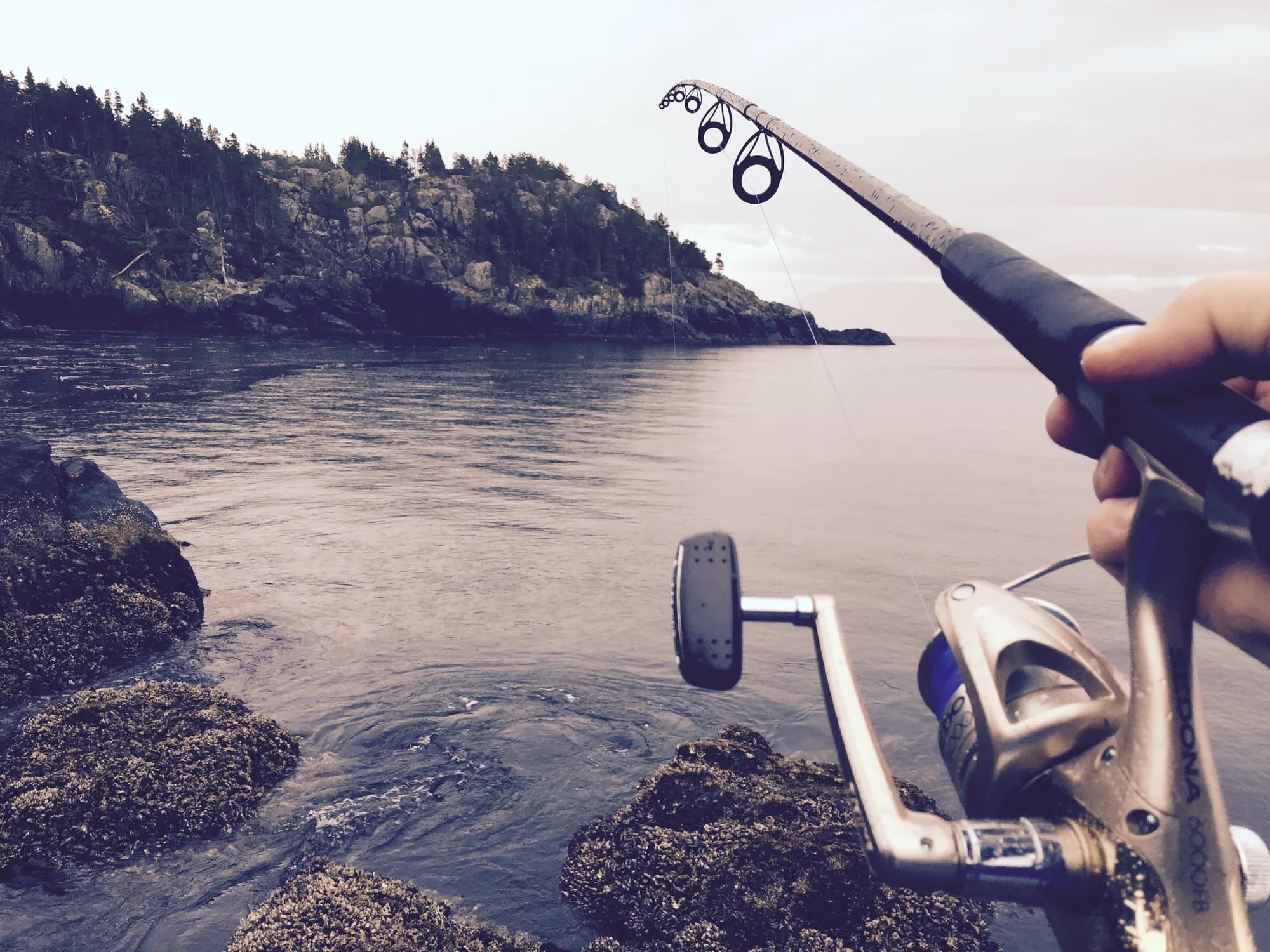 Shore fishing from the rocks at East Sooke Regional Park