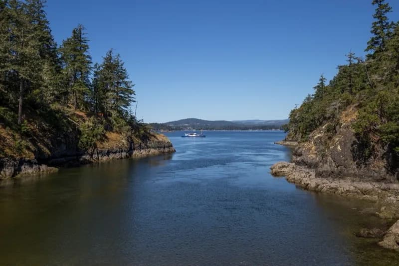 Sooke Basin