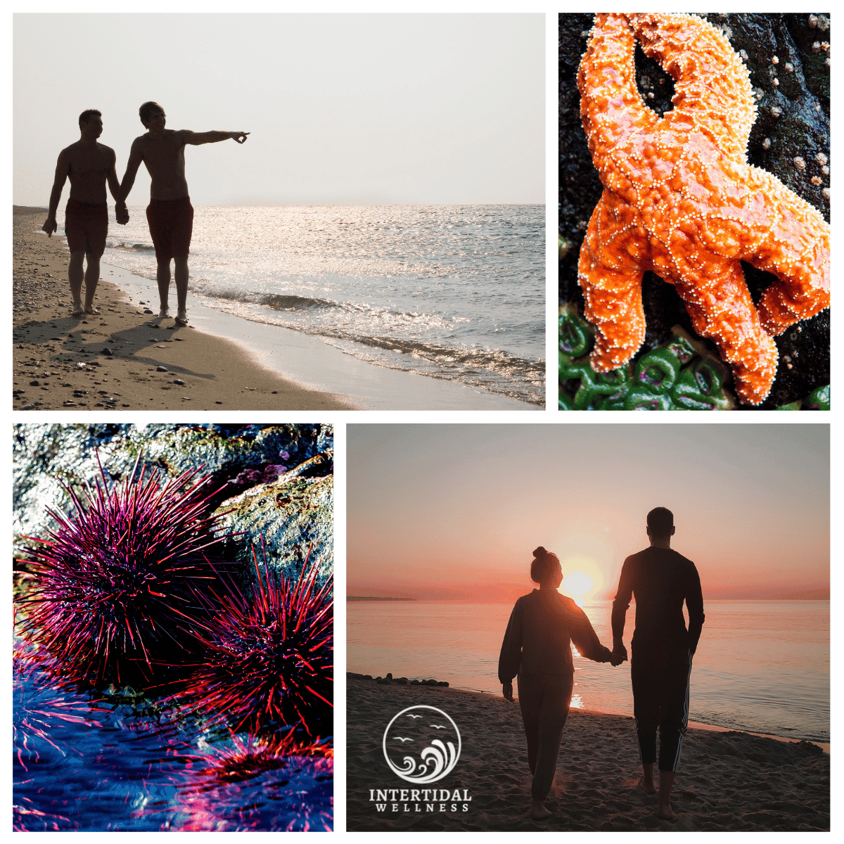 Archive photograph: Intertidal Counselling & Wellness